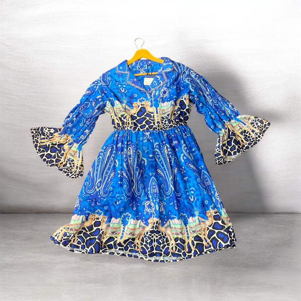 Royal Mirage Printed Flare Dress (IMPORTED)